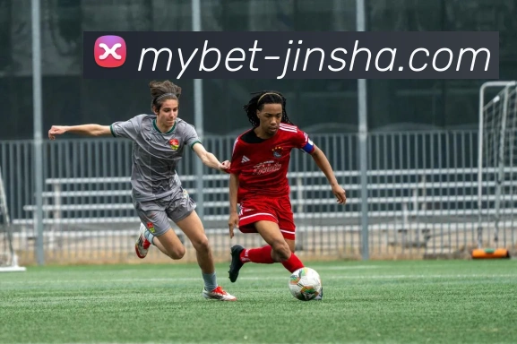 金沙国际平台生态图