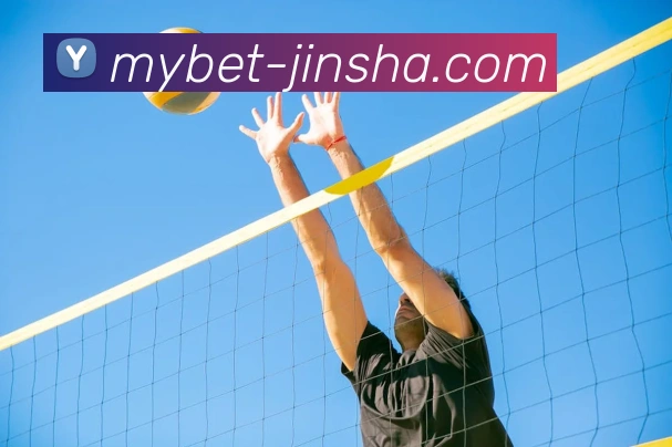 金沙国际APP 封面图